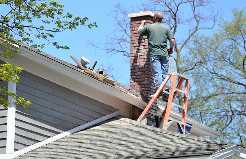 Chimney & Fireplace Inspections Services in Harlingen, TX